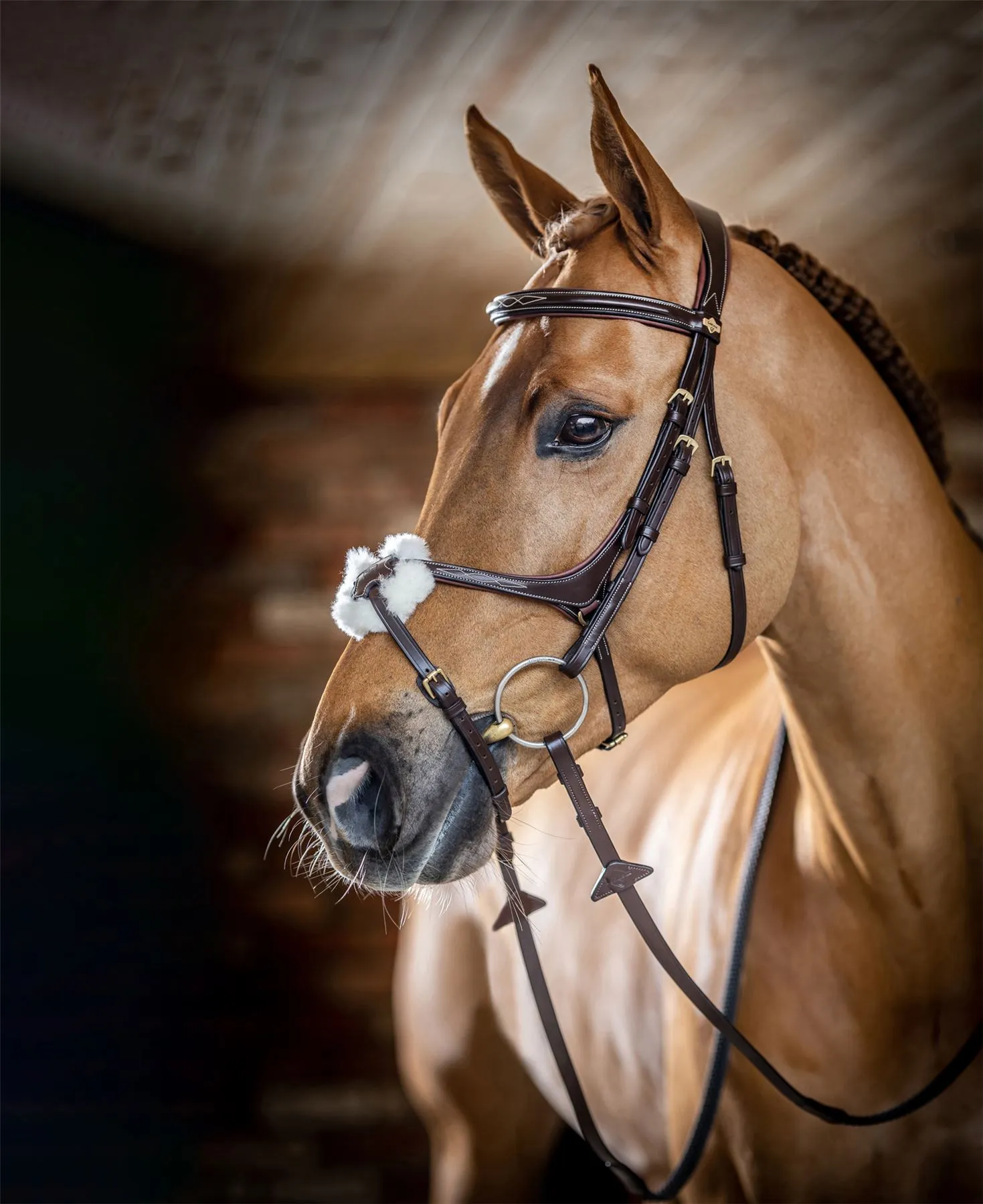 LeMieux Grackle Bridle
