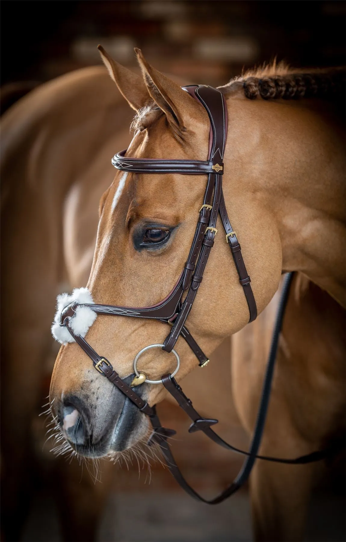 LeMieux Grackle Bridle
