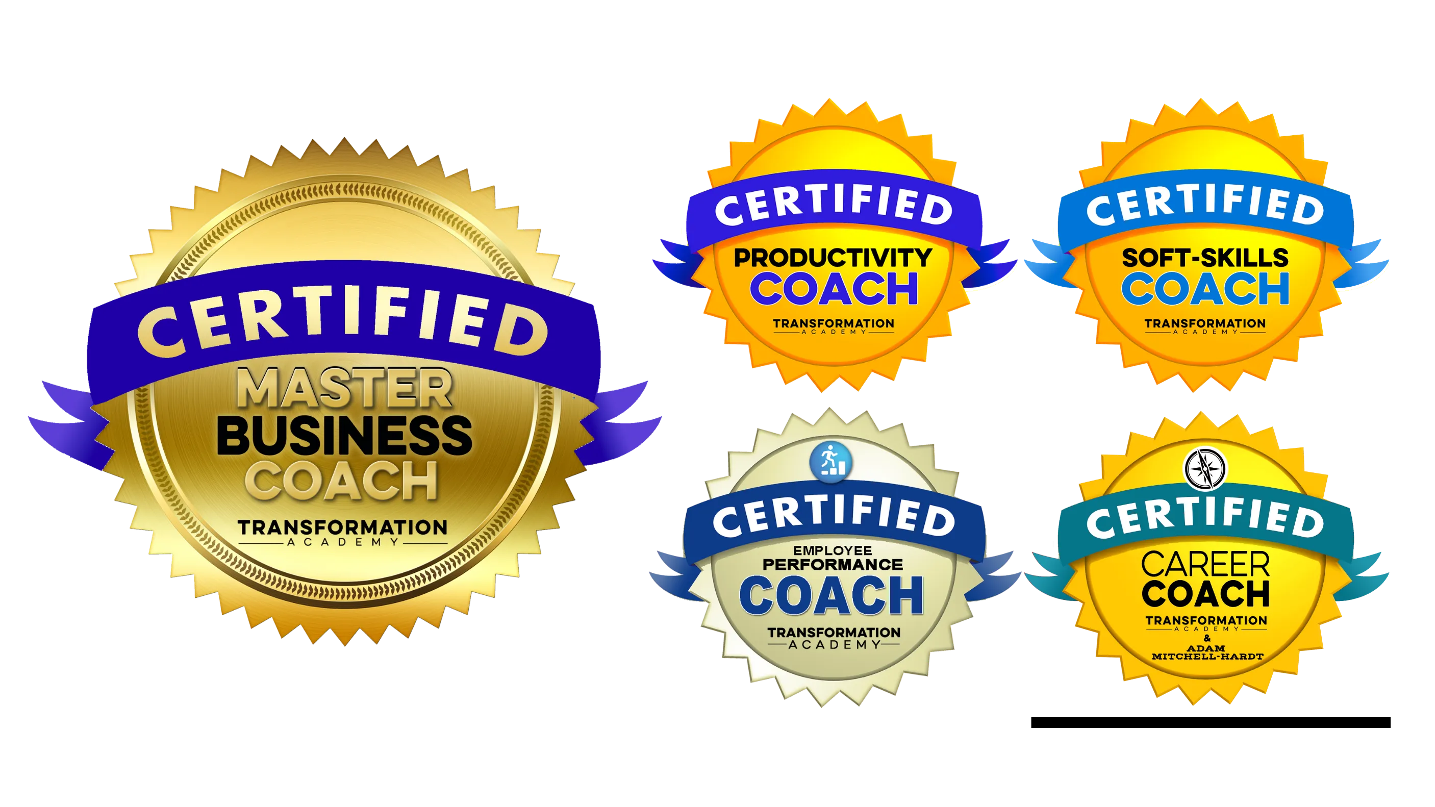 Master Business Coach Certification (Corporate)