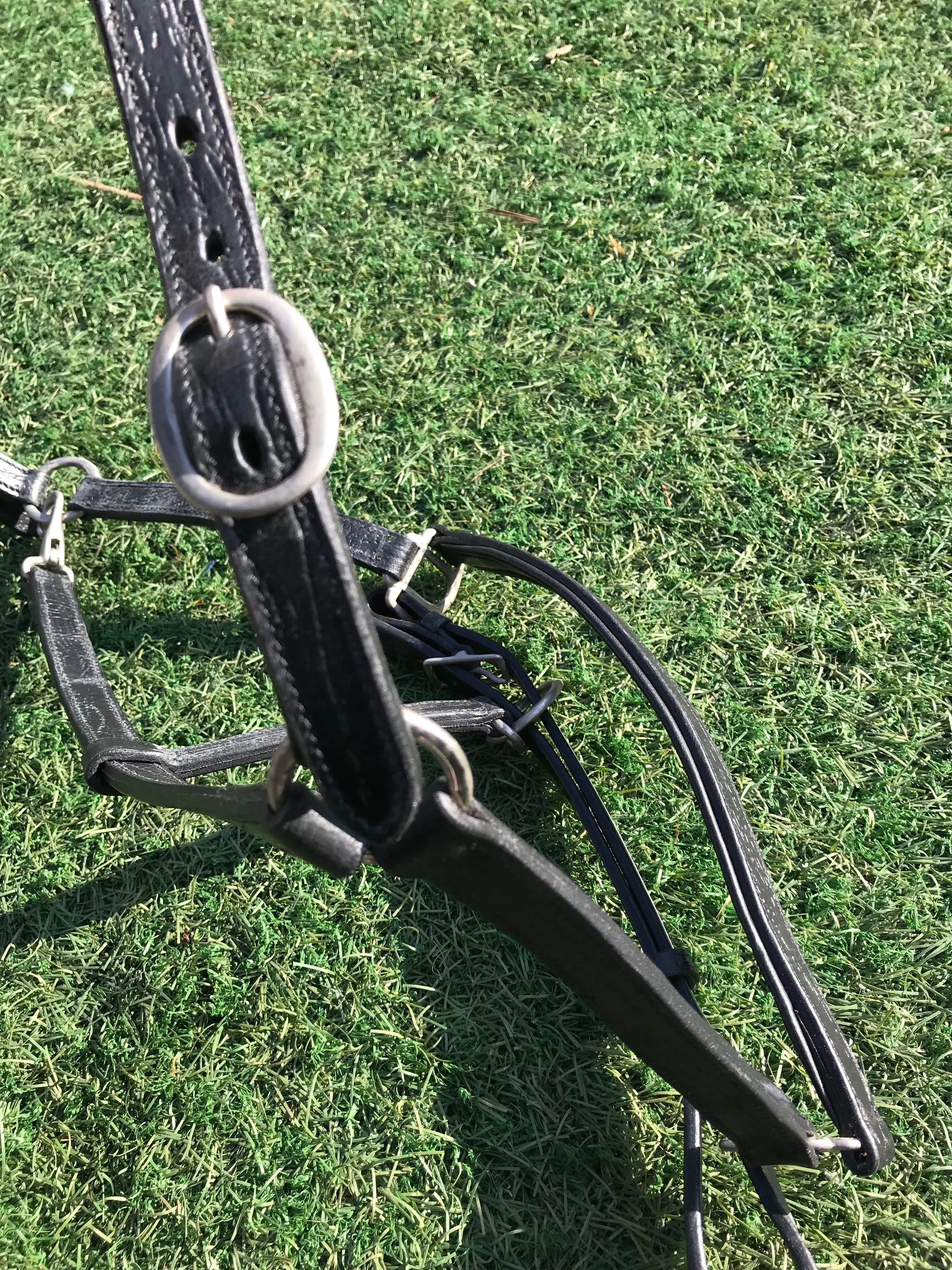 New wow range black leather head collar with textured design FREE POSTAGE