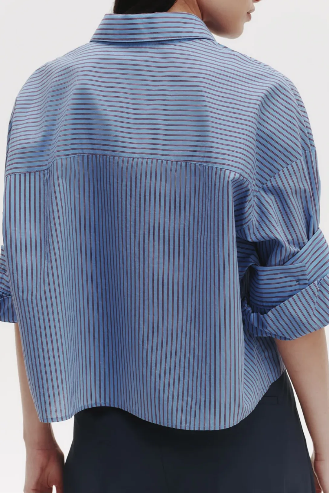 Next Ex Shirt | Blue / Wine