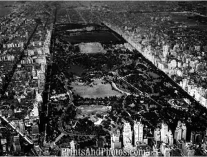 NYC CENTRAL PARK 1950s  2559