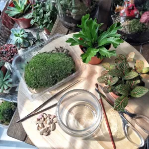 Online Corporate/Group Close Terrarium Workshop