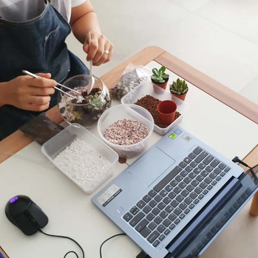 Online Corporate/Group Open Terrarium Workshop