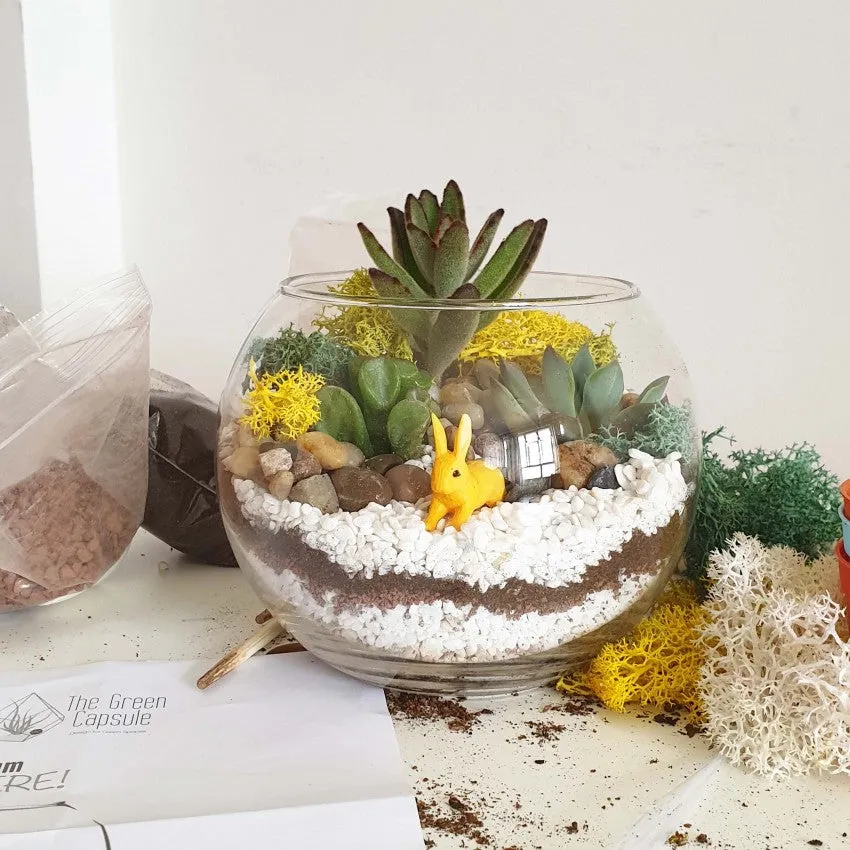 Online Corporate/Group Open Terrarium Workshop