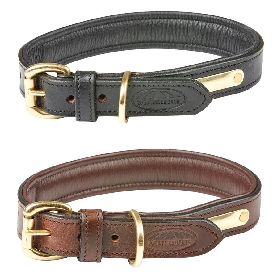 Padded Leather Dog Collar