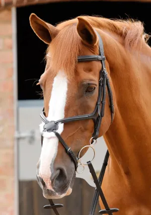 PE Sport Glorioso Grackle Bridle