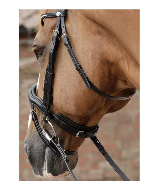 PE Stellazio Anatomical Snaffle Bridle with Flash