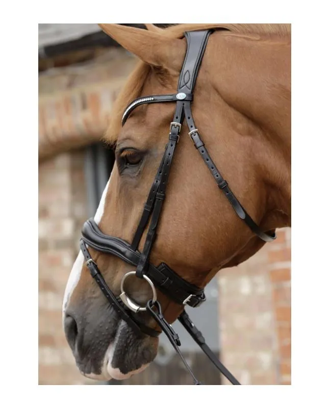 PE Stellazio Anatomical Snaffle Bridle with Flash