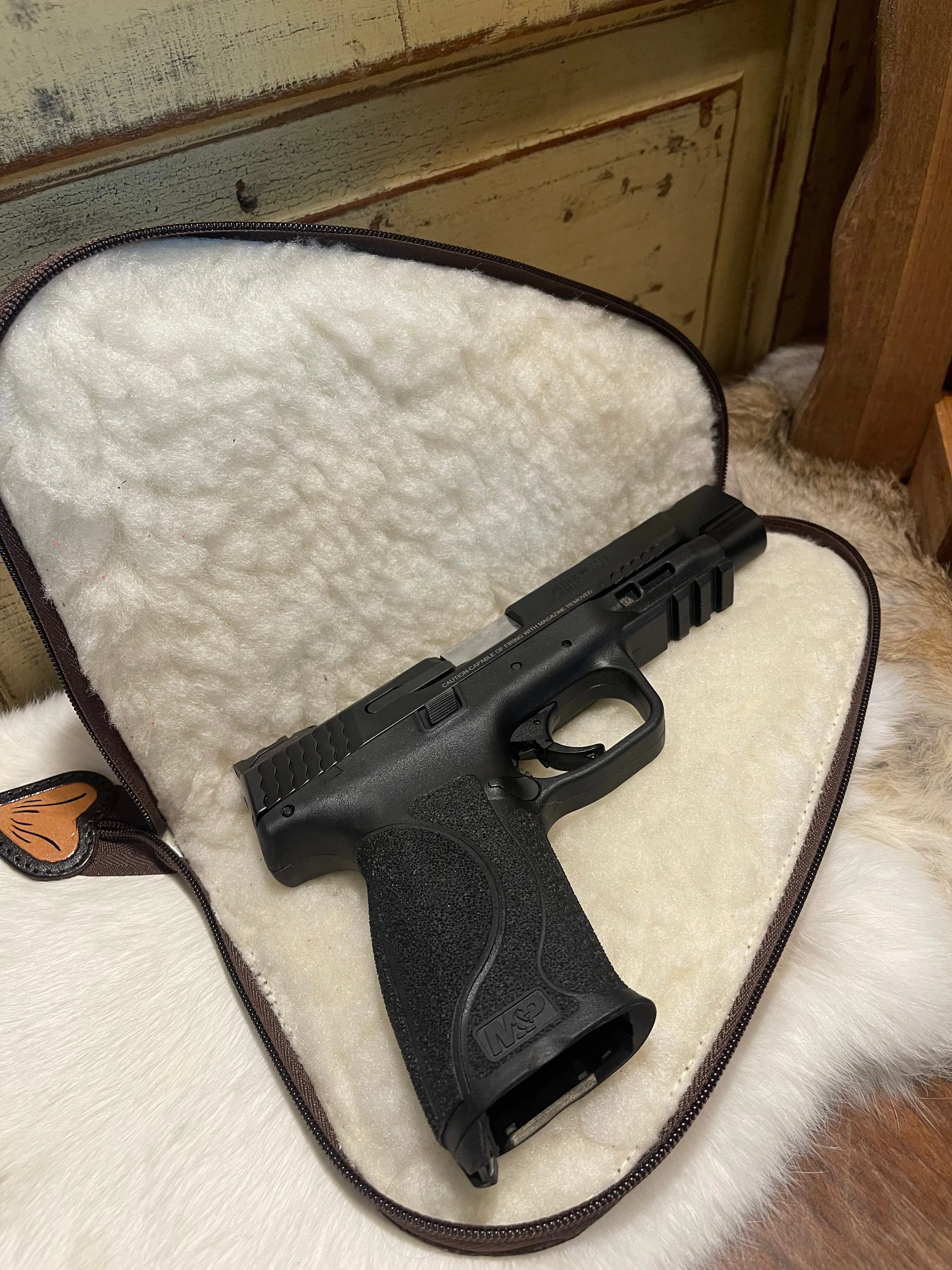 Pistol Case
