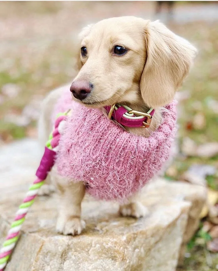 PoisePup - COLLAR - CANDY SWIRL