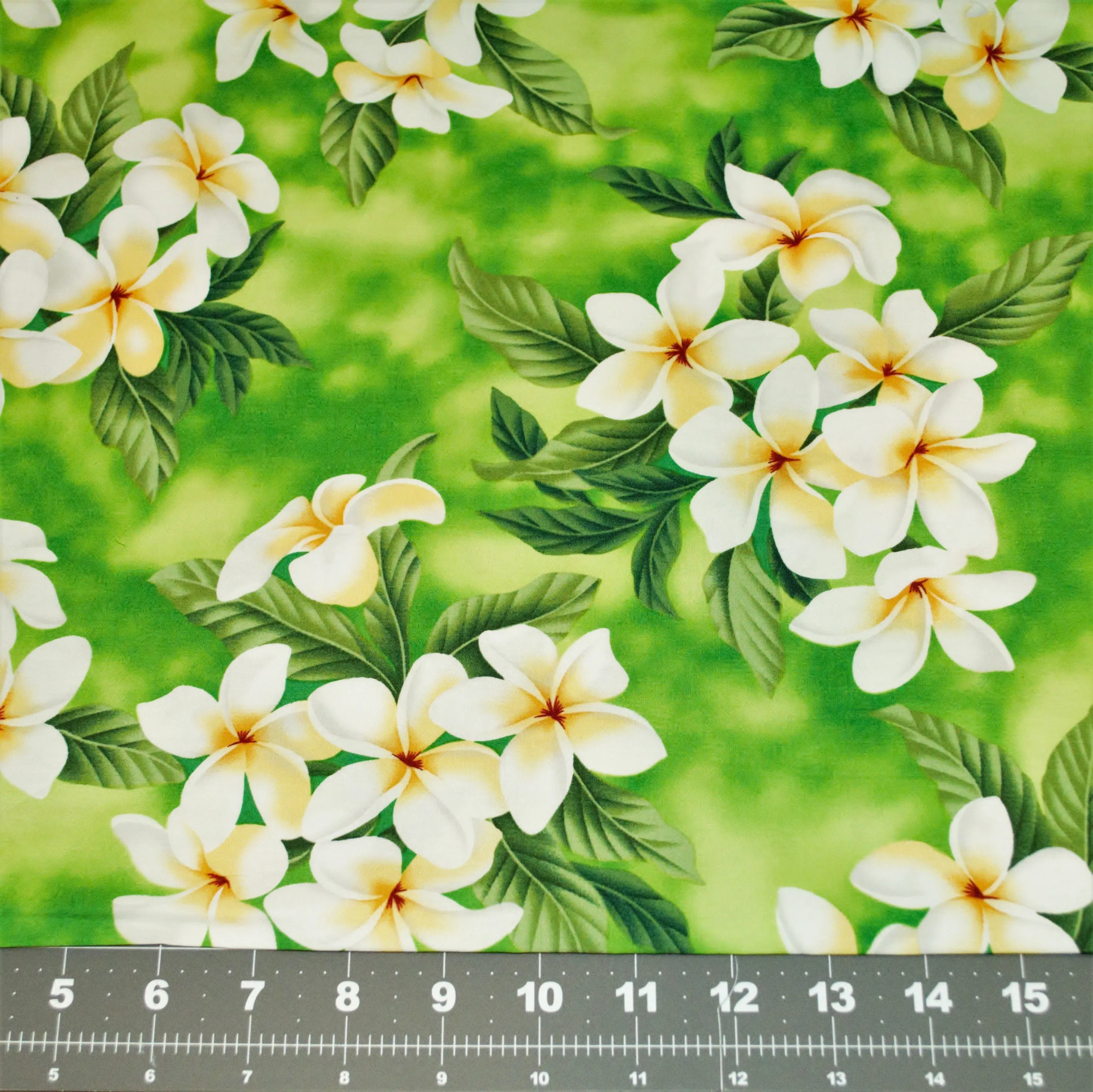 Quarter Bundle x 5  Botanical