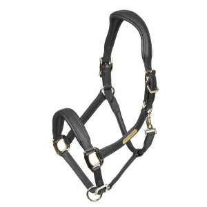 Rapida Comfort Leather Headcollar
