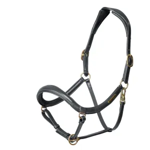 Rapida Curved Leather Headcollar