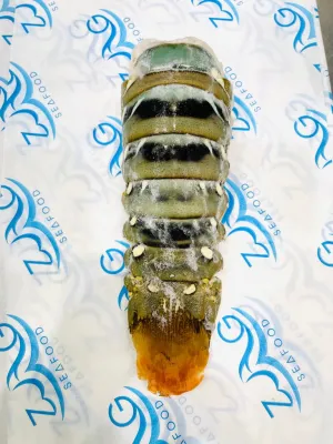 Raw Lobster Tail