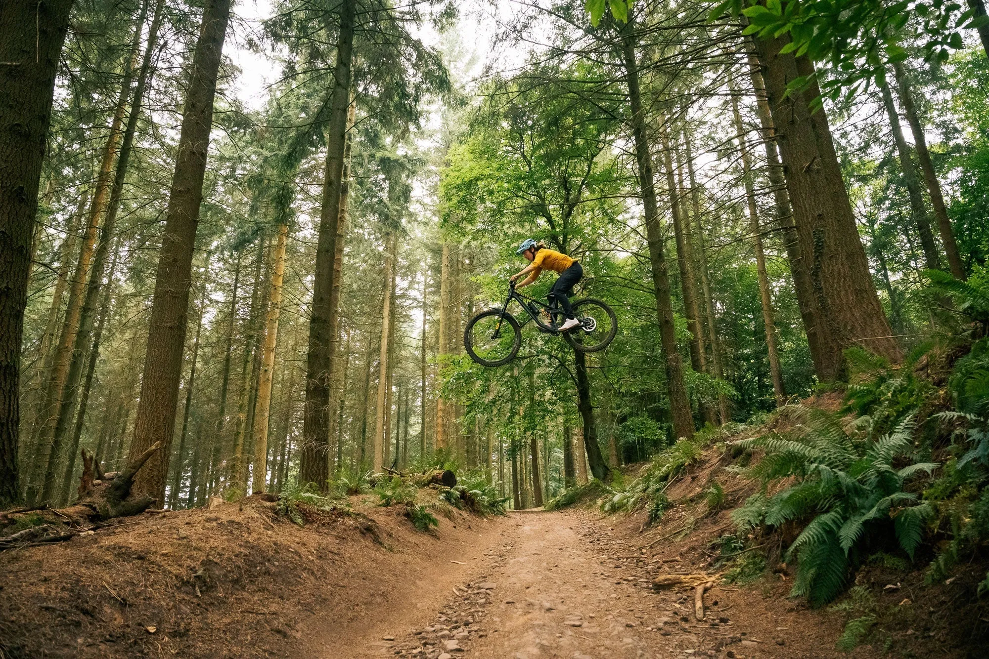 RE:NEW HUNT Proven Carbon Race Enduro 27.5 Wheelset