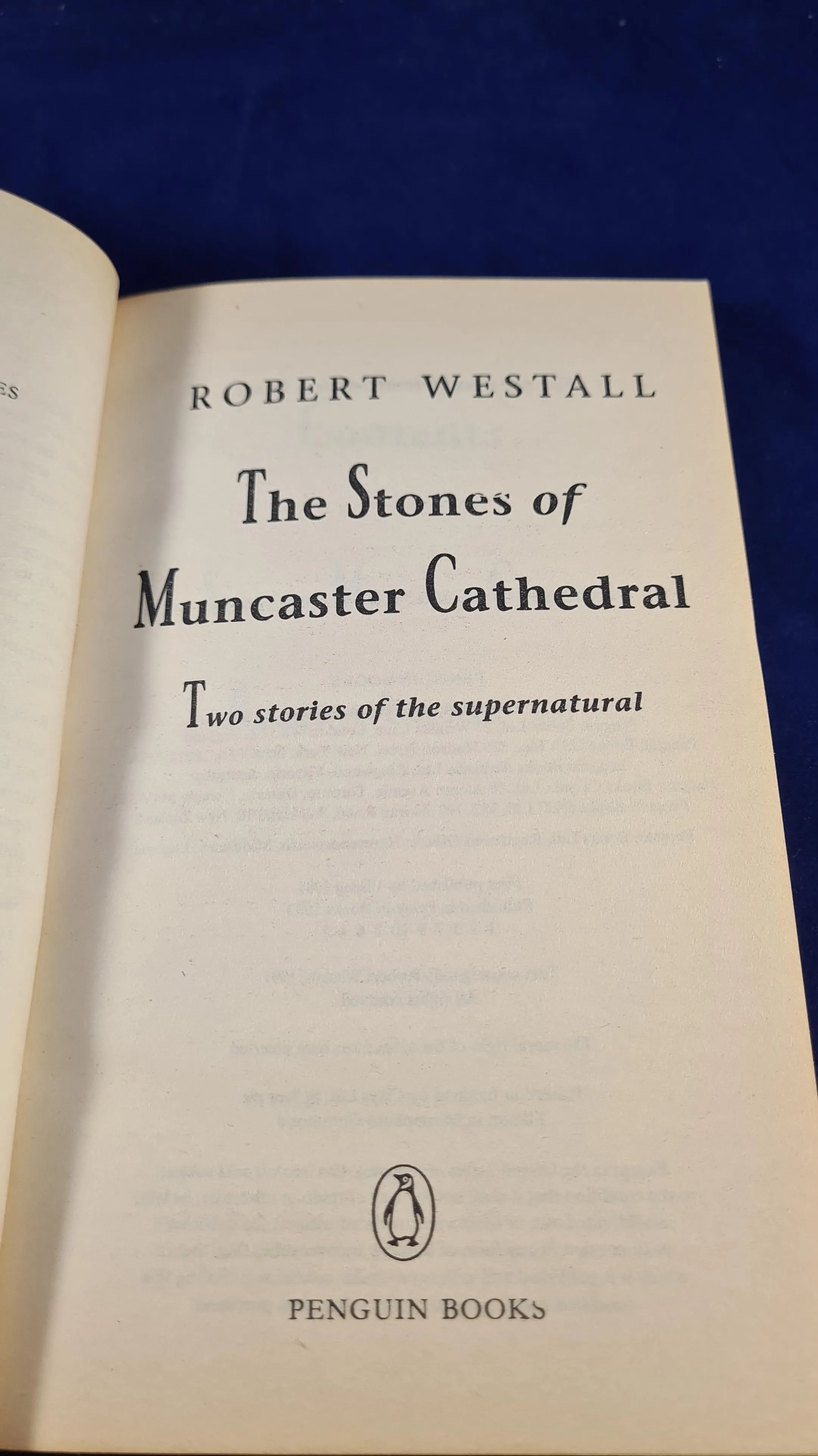 Robert Westall - The Stones of Muncaster Cathedral, Penguin Books, 1993, Paperbacks