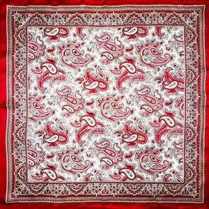 Ruby Paisley Tuch