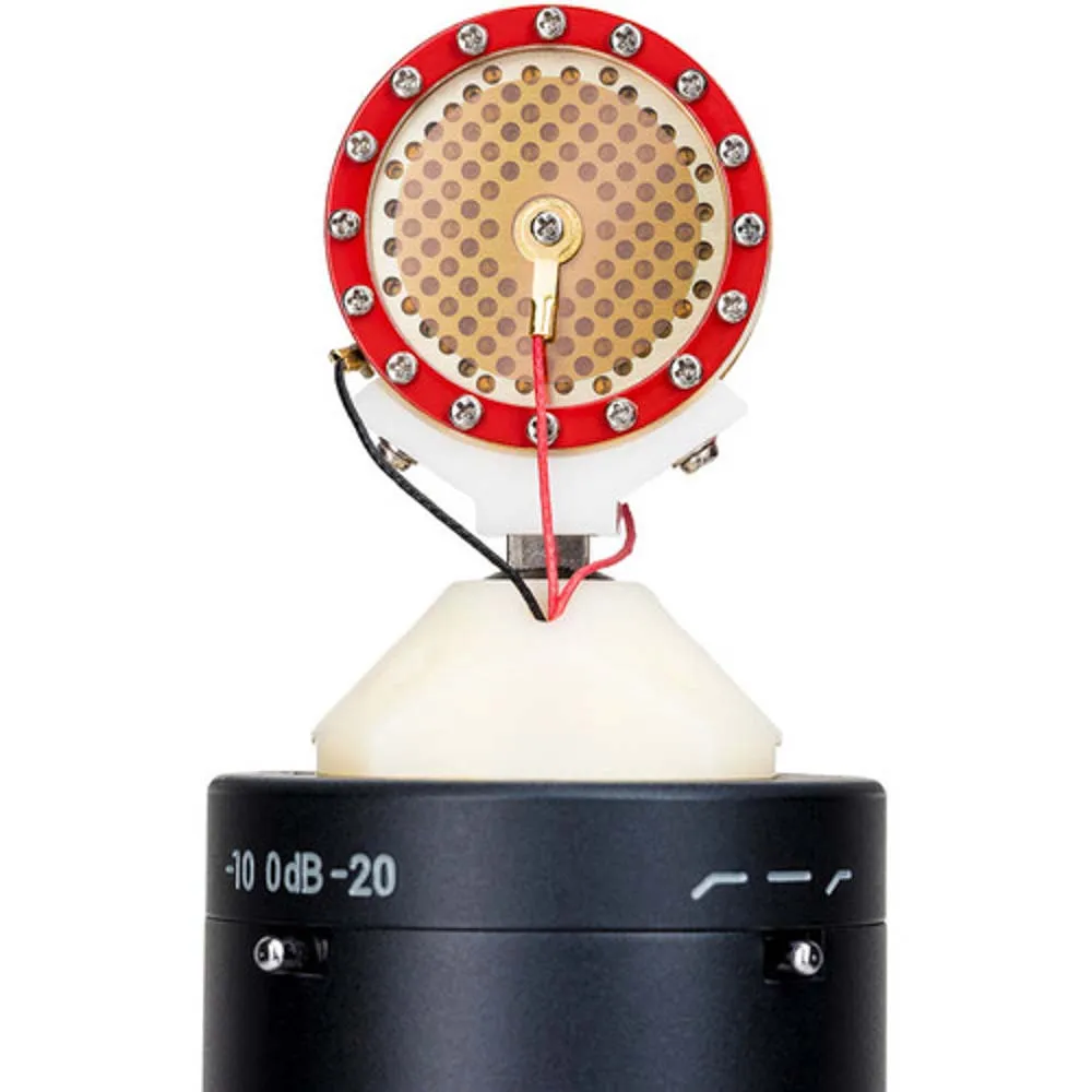 sE Electronics SE2300 Large-Diaphragm Condenser Microphone