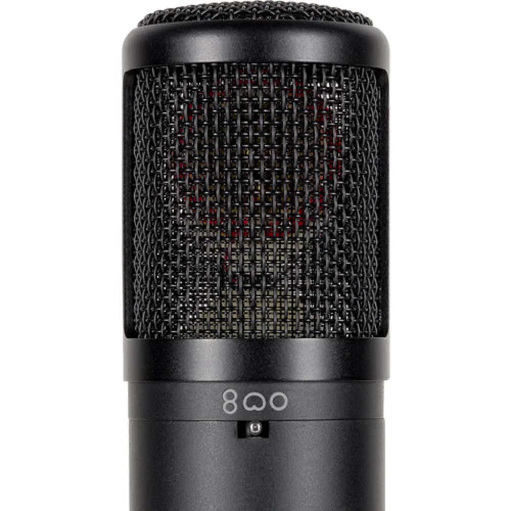 sE Electronics SE2300 Large-Diaphragm Condenser Microphone