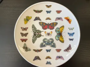 Set of 4 8.5” butterfly salad plate