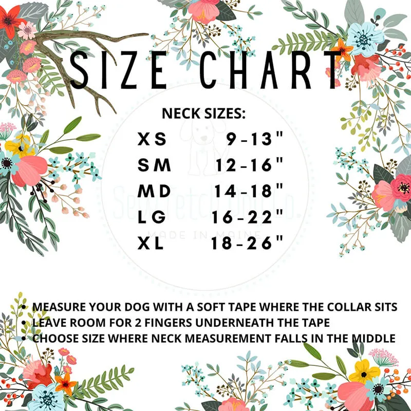 Sew Fetch Collar Clark Christmas