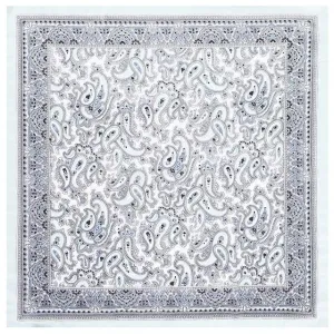 Sky Blue Paisley Tuch