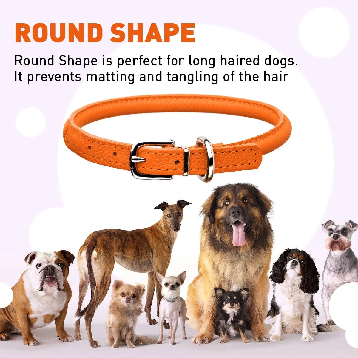 Soft Leather Round Collar