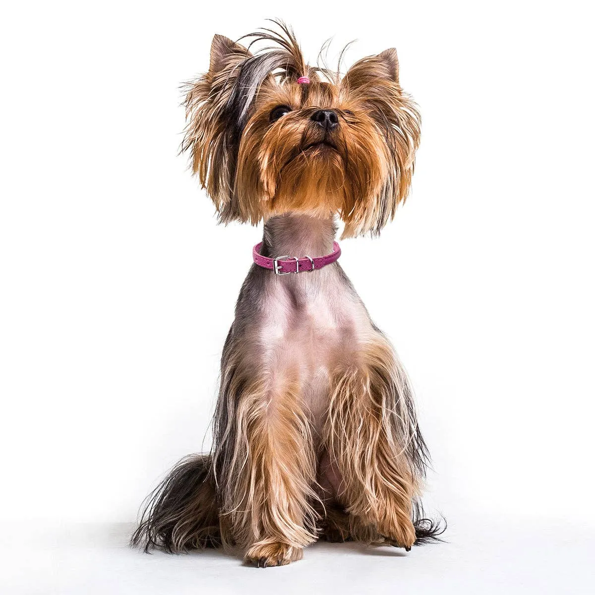 Soft Leather Round Collar