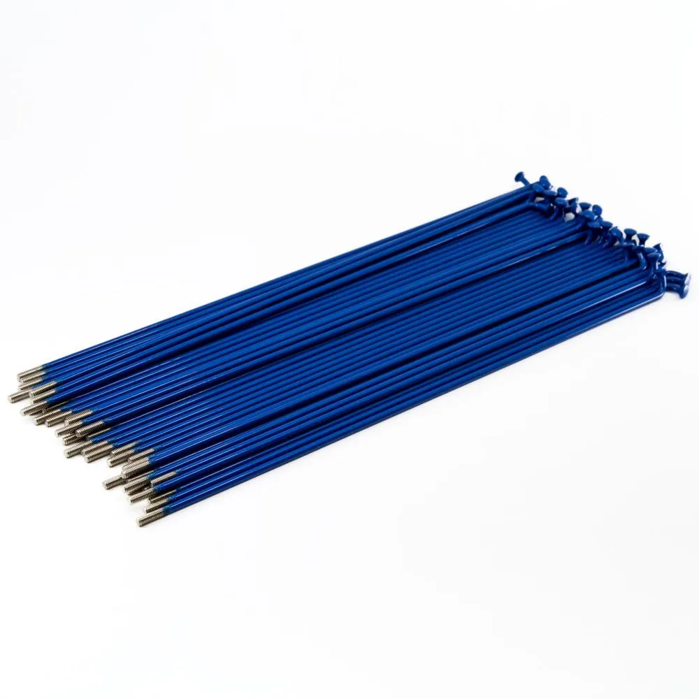 Source Stainless Spokes (40 Pack) - Blue
