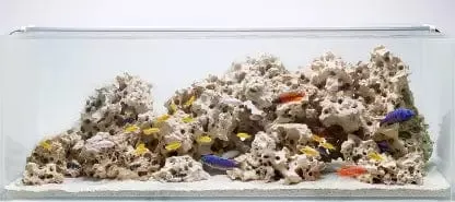 Texas Holey Rock - Per Kg