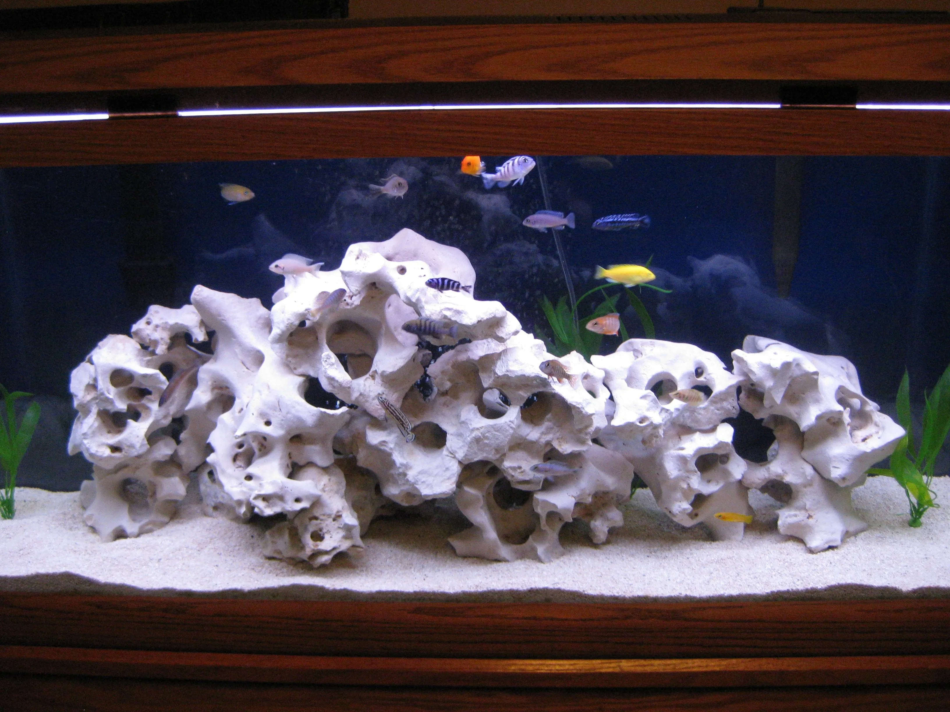 Texas Holey Rock - Per Kg