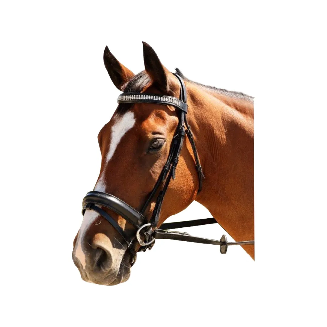 Three Layer Diamond Bridle