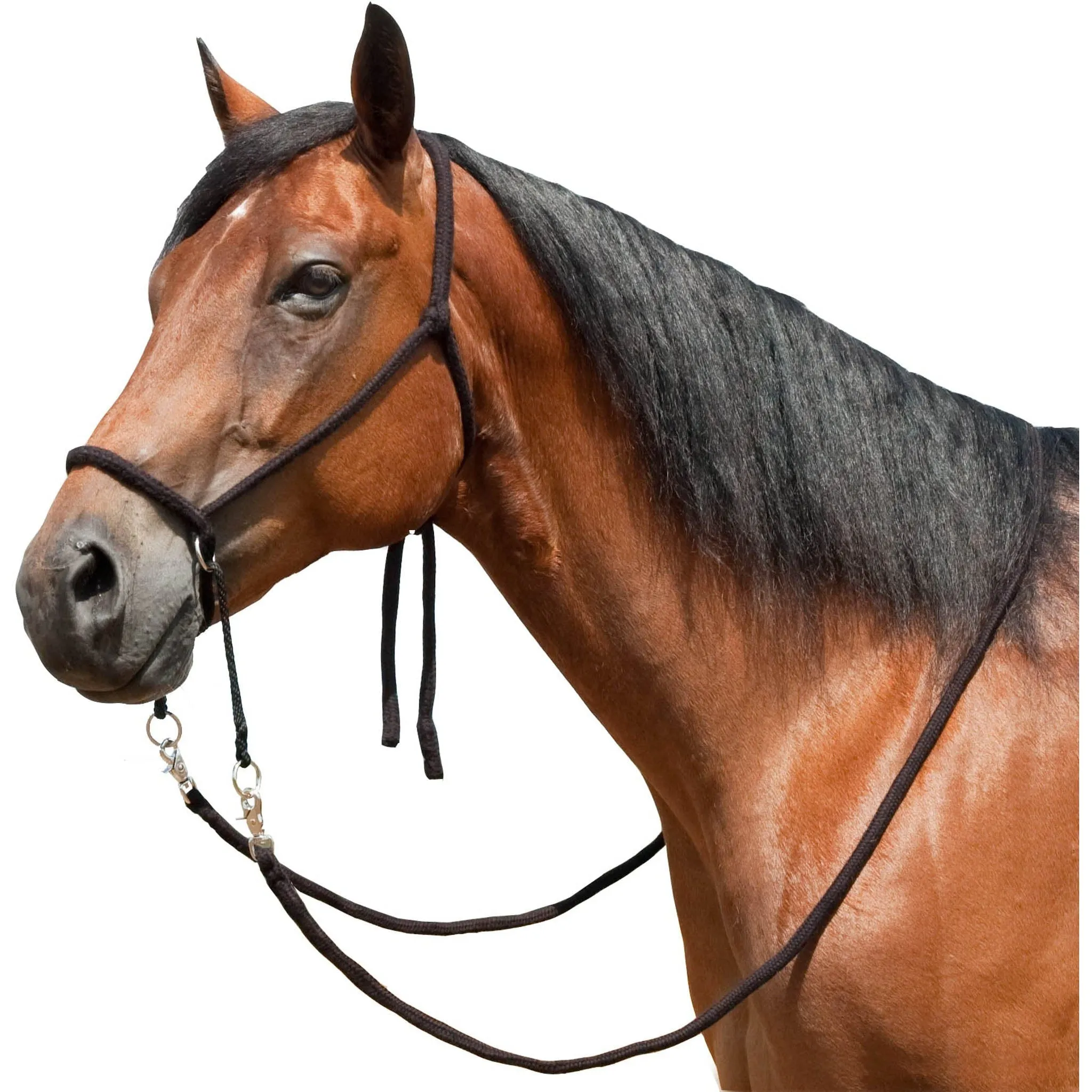 Tory Leather Soft Braided Poly Bitless Bridle