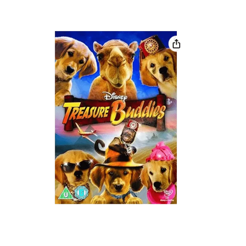 Treasure Buddies