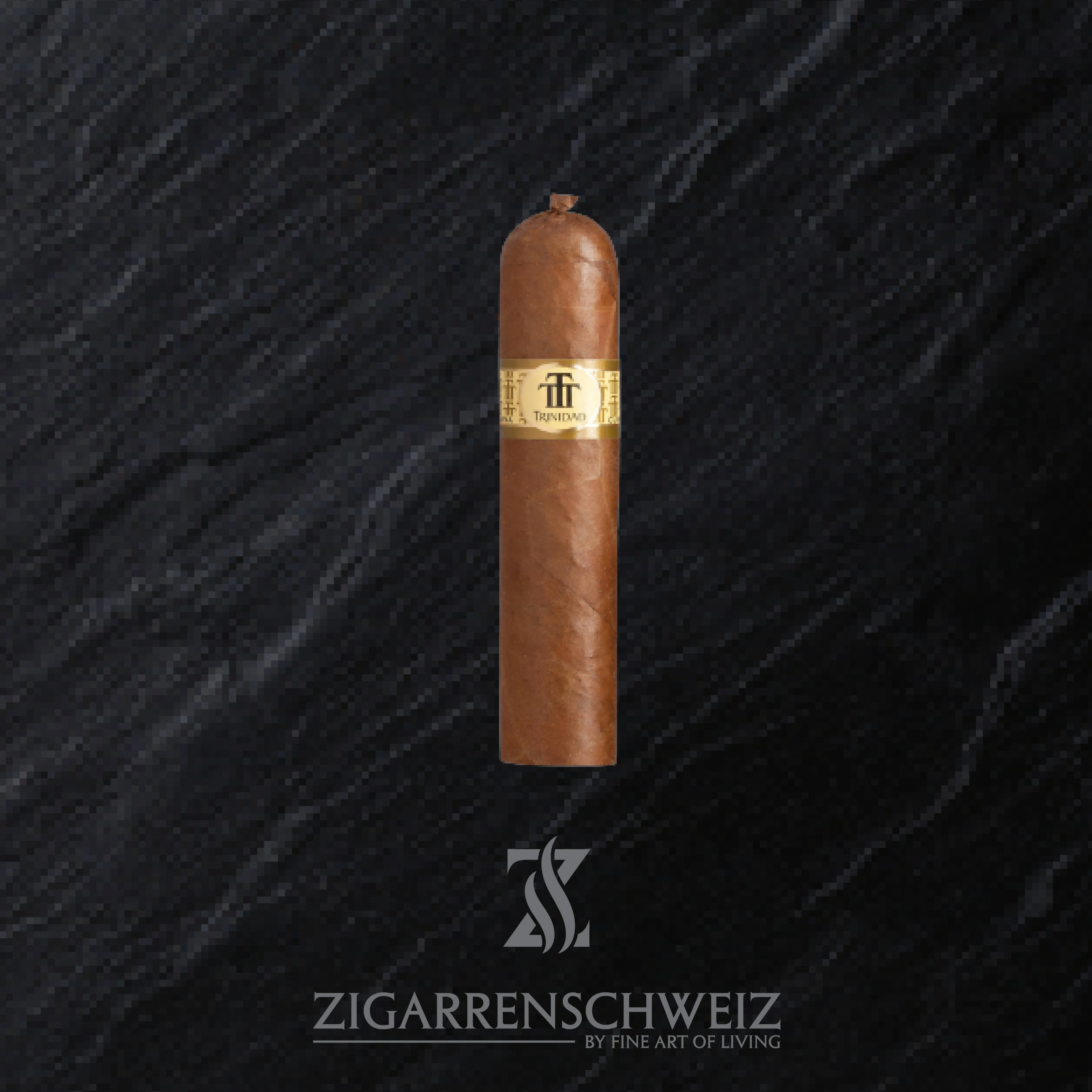 Trinidad Vigia
