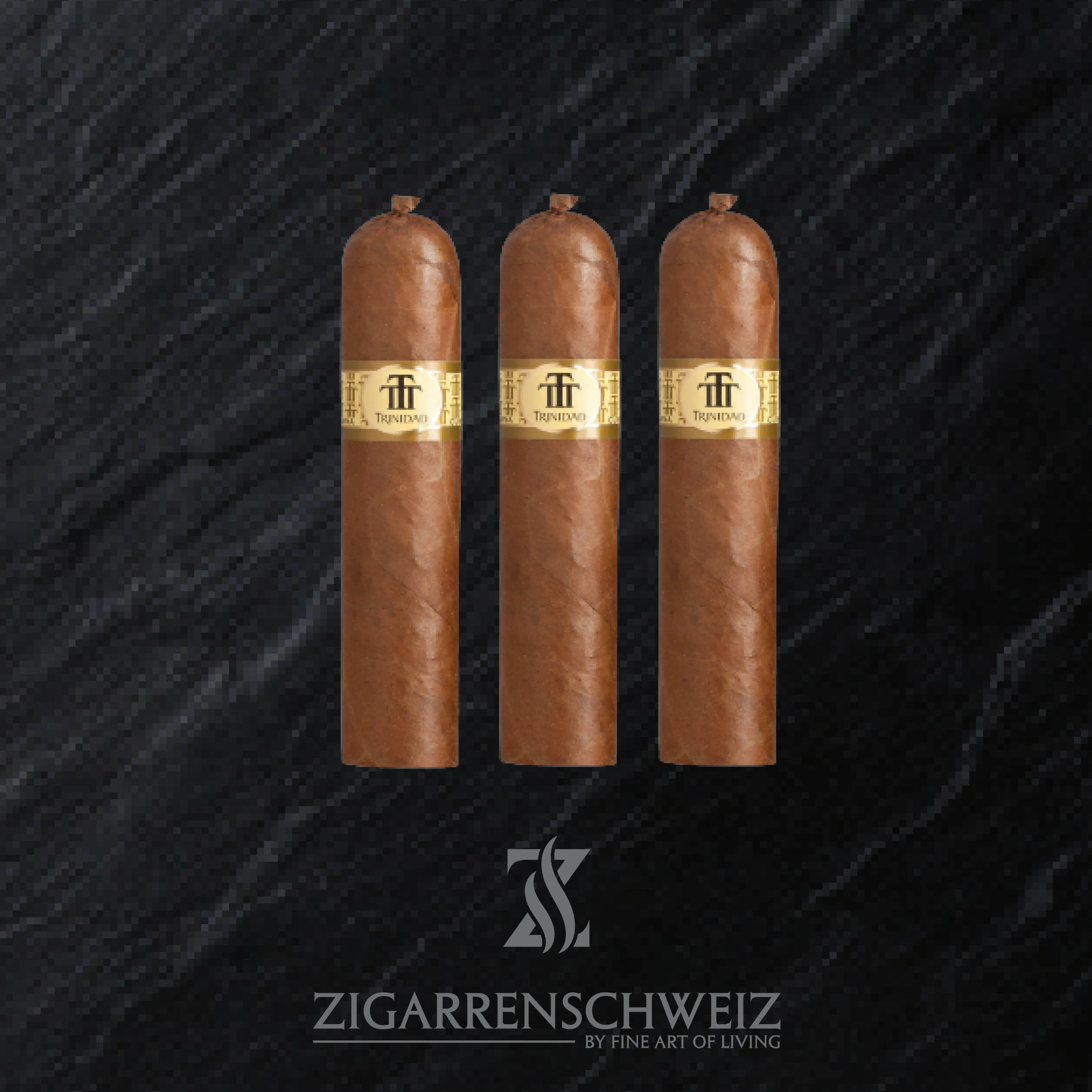 Trinidad Vigia