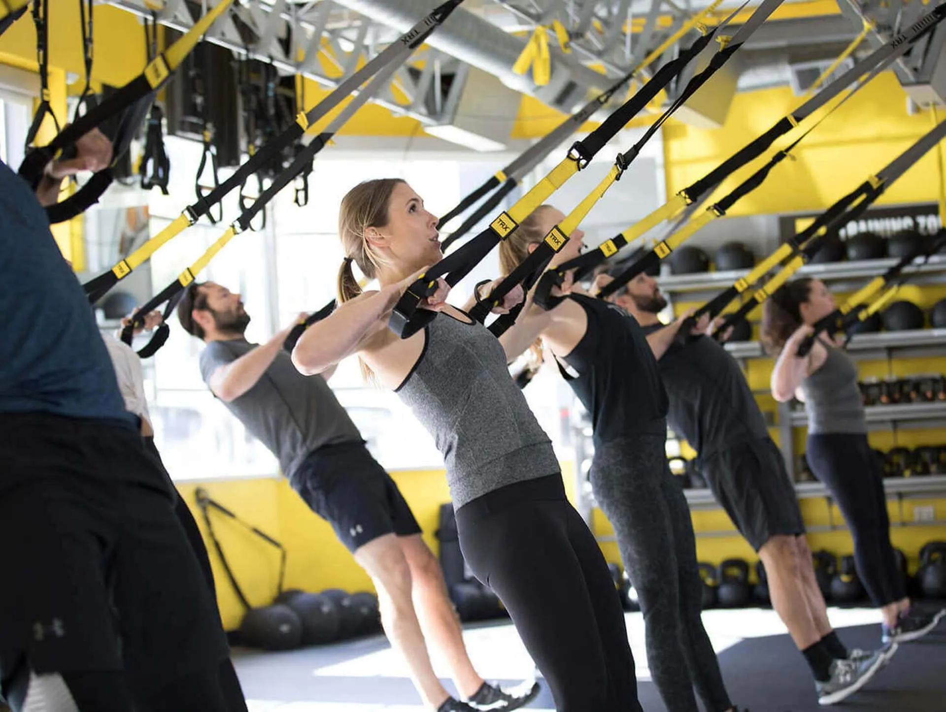 TRX C4 Commercial Suspension Trainer