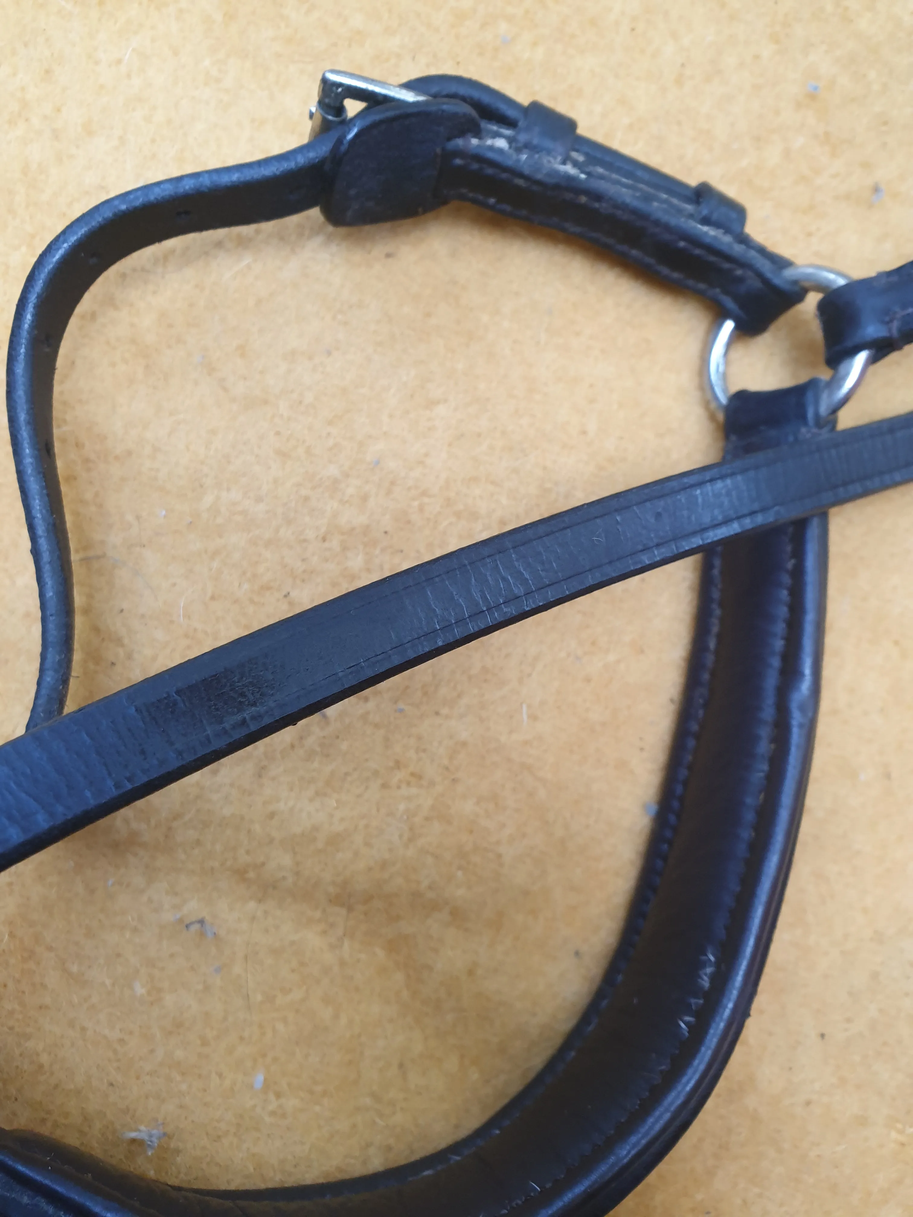 Used brown leather cob size Ascot drop nose band FREE POSTAGE☆