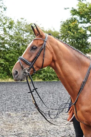 Whitaker Bling Bridle Barton