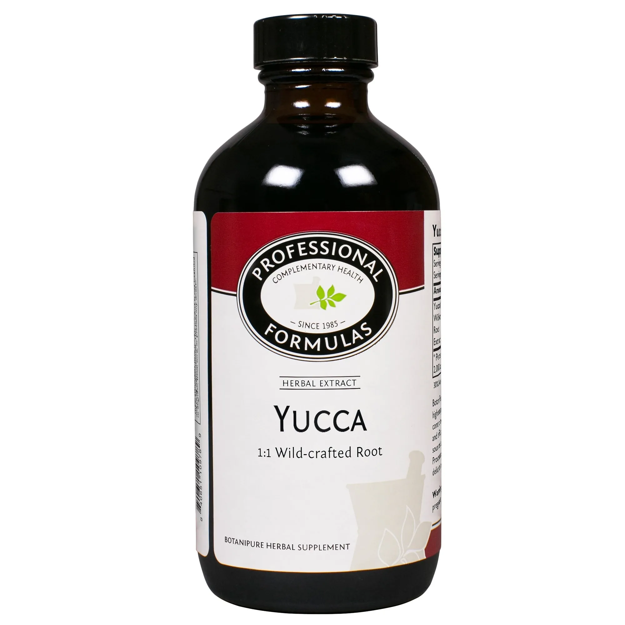 Yucca/Yucca Spp.